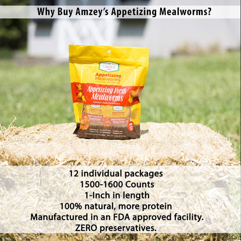 Amzey Mealworms organic-fed treats sourced from fruits and vegetables.