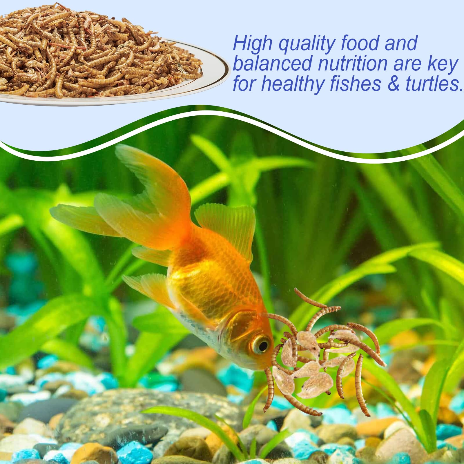 Amzey treats for hamsters and fish, tasty protein for daily activity.