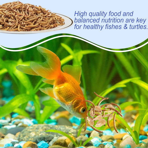 Amzey treats for hamsters and fish, tasty protein for daily activity.