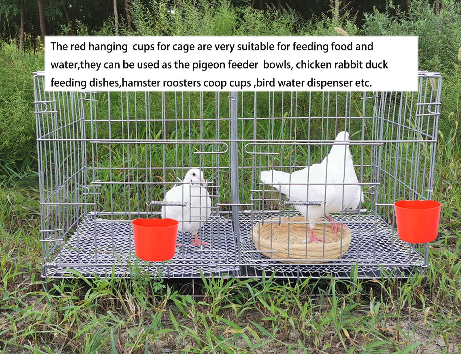 AMZSYLV versatile feeding water dish for poultry, parakeets, and small pets.