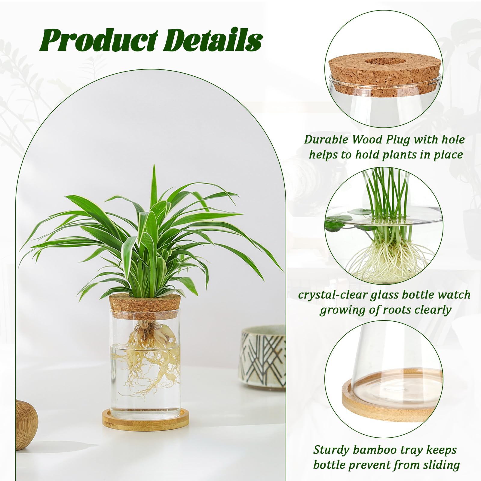 Anboliwb borosilicate glass propagation jar shows roots clearly for monitoring