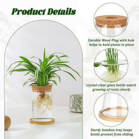 Anboliwb borosilicate glass propagation jar shows roots clearly for monitoring