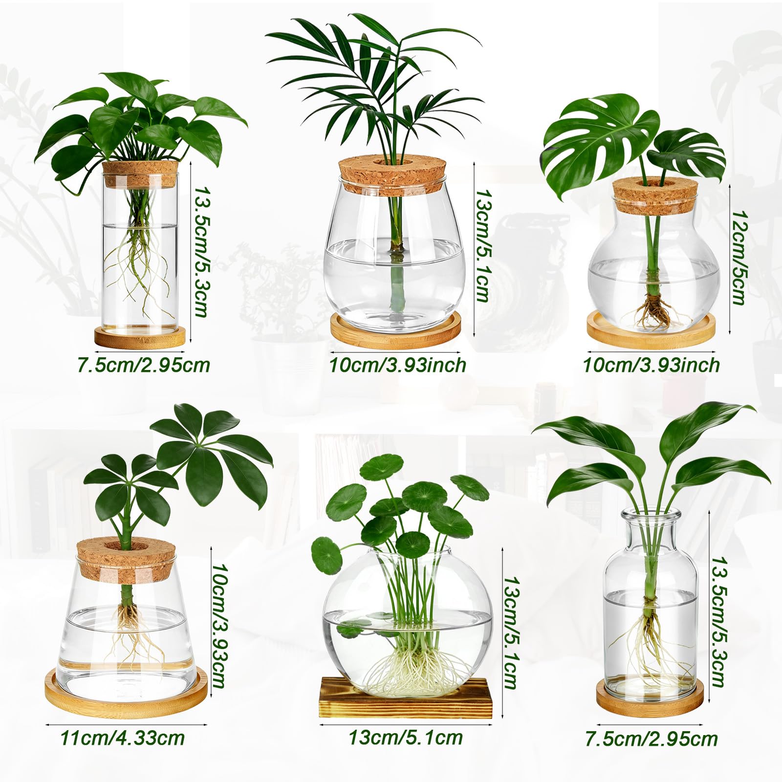 Anboliwb hydroponic station ideal for pothos monstera herbs on a desk