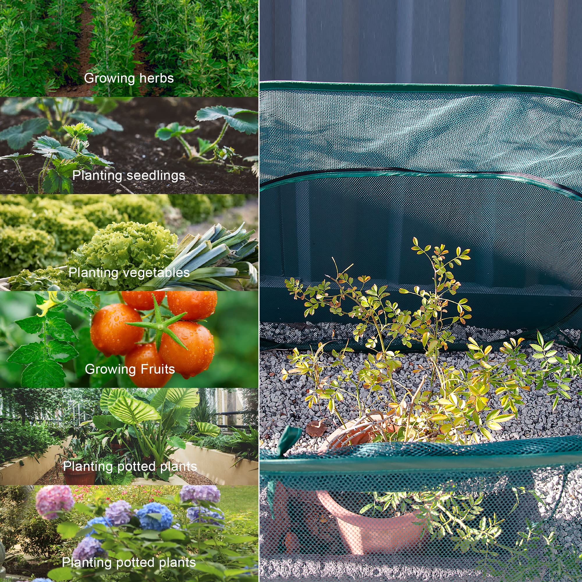 40x40x30 inch cover shields vegetables in a home garden.
