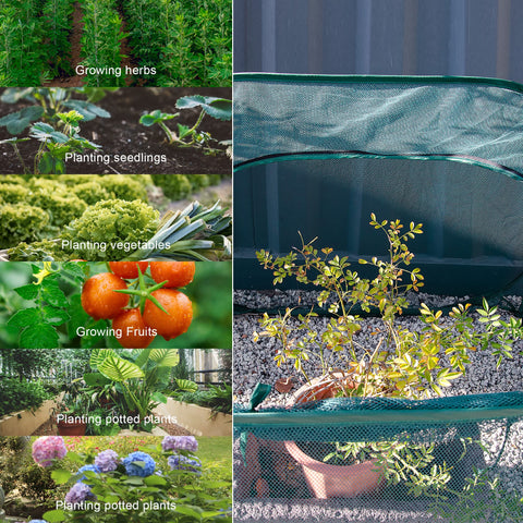 40x40x30 inch cover shields vegetables in a home garden.