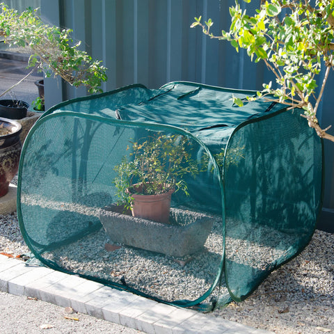 Sturdy mesh frame stands ready in a garden setting.
