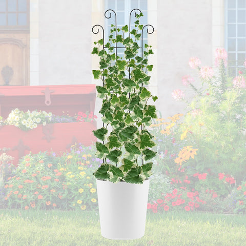 ANCOUUIN four-pack creates a cohesive garden display on porches or yards.