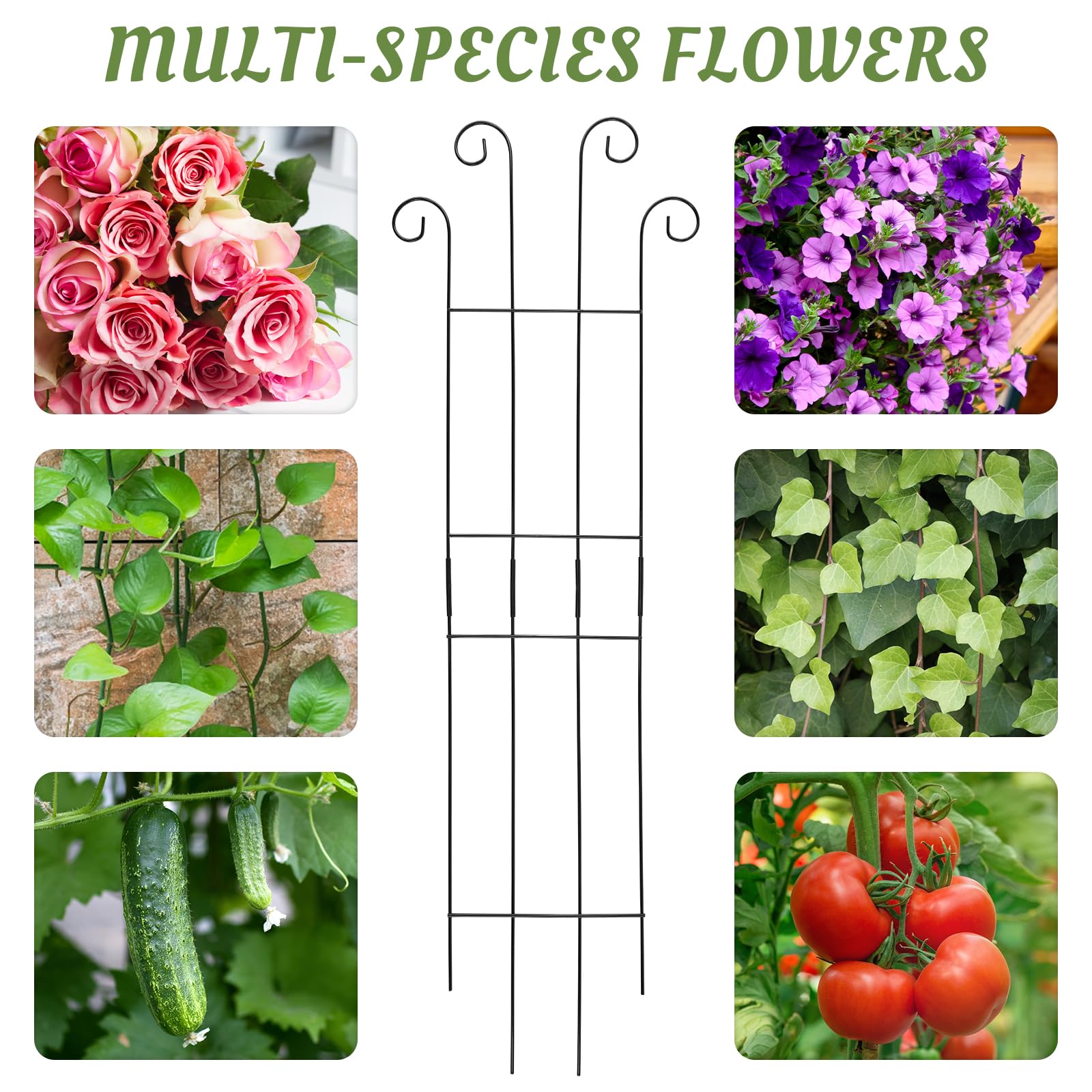 ANCOUUIN easy-assembly trellis installs quickly around potted plants.