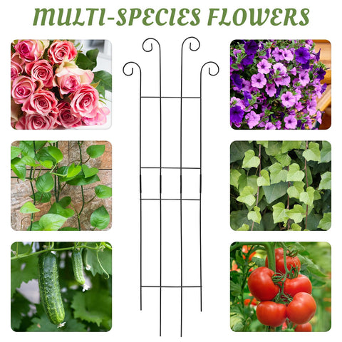 ANCOUUIN easy-assembly trellis installs quickly around potted plants.
