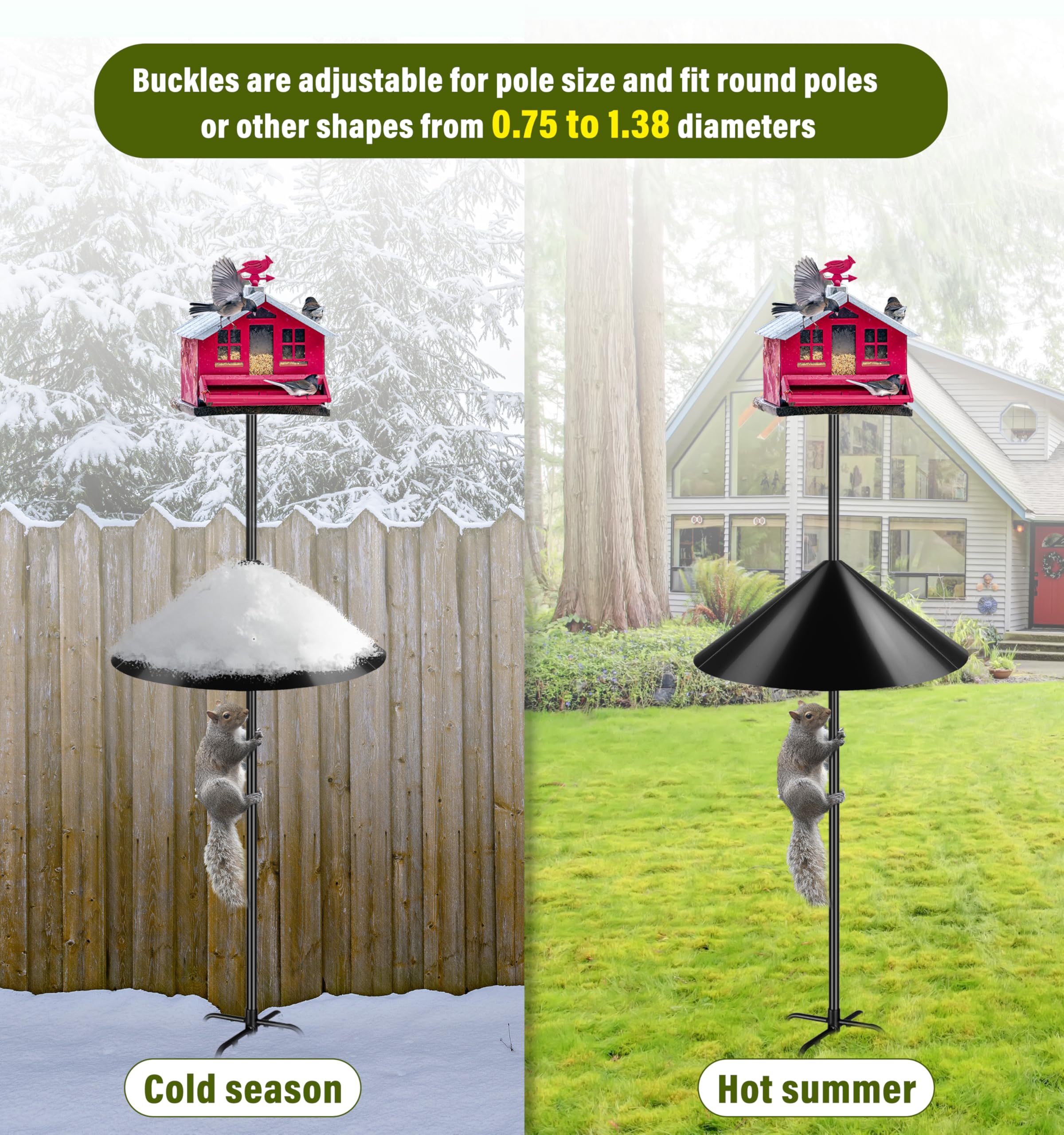 Andergi backyard-friendly setup enabling a squirrel-free bird feeding scene.