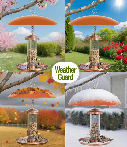 Andergi bird feeder dome rain guard keeps feeding area tidy