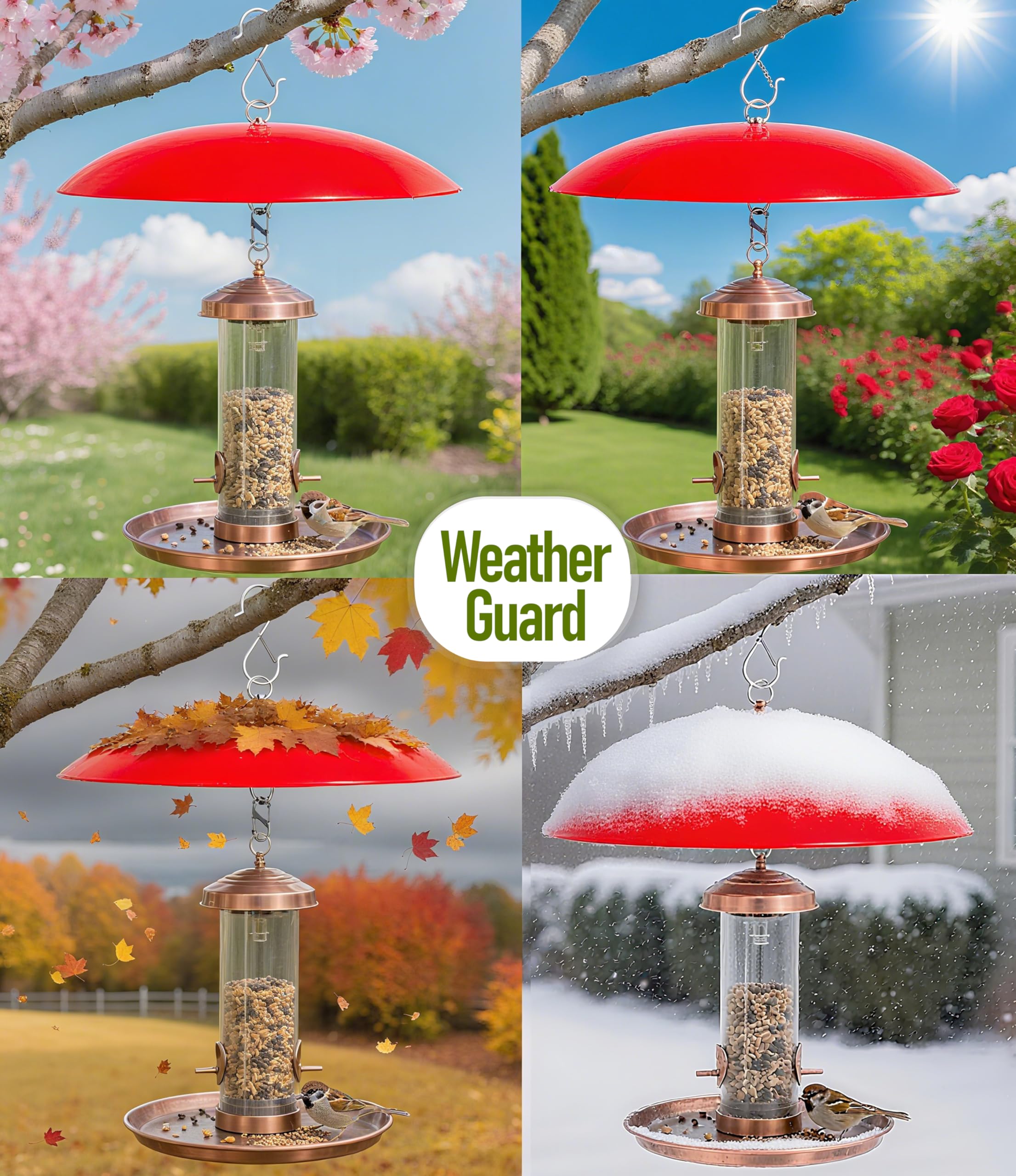 Andergi bird feeder rain cover blocks moisture and debris.