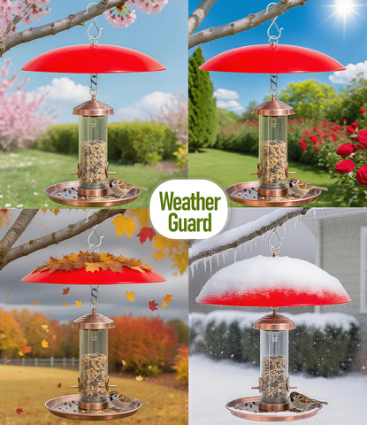 Andergi bird feeder rain cover keeps feeding station dry outdoors