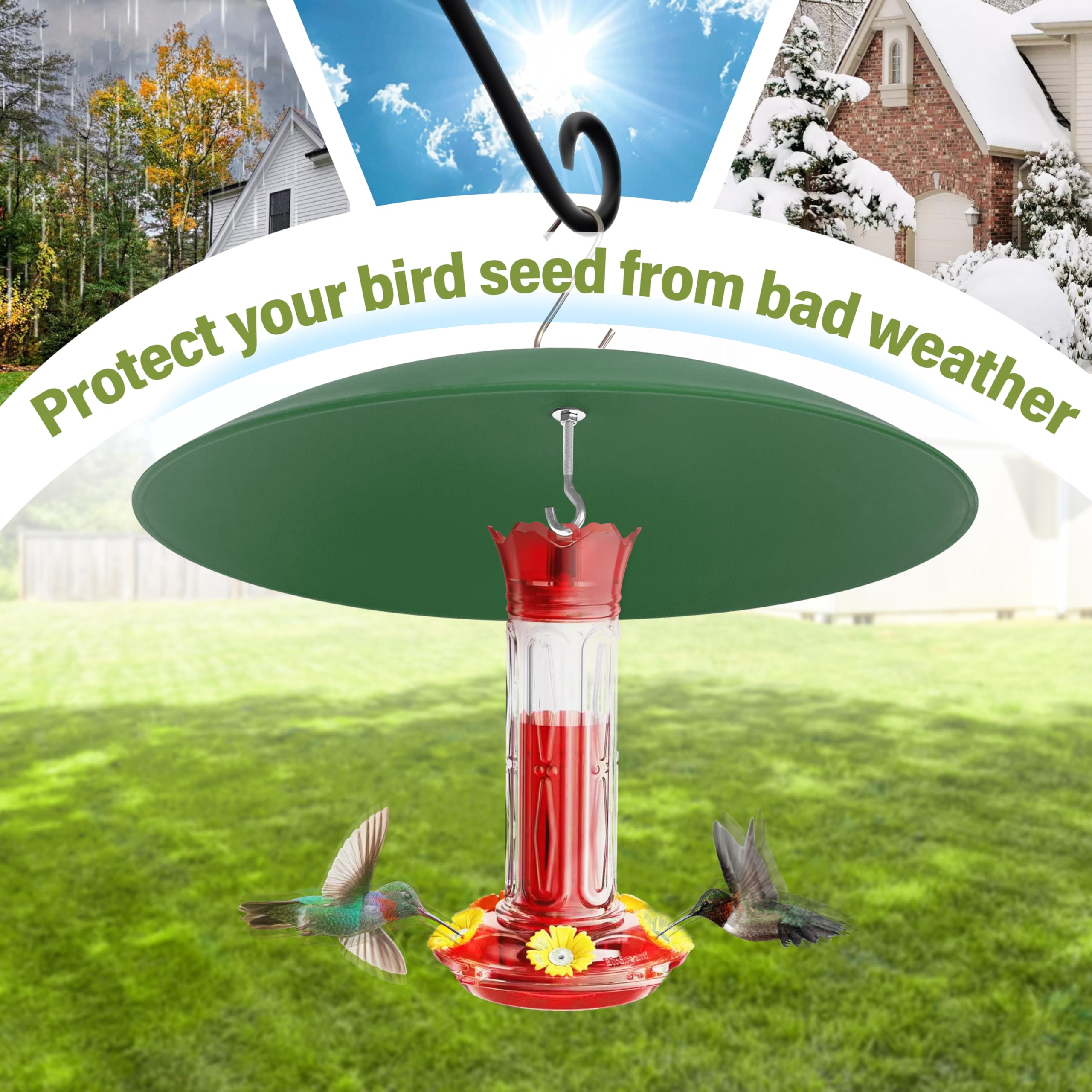 andergi curved dome design blocks leaves and rain from the feeder