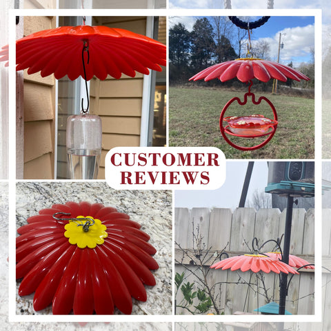 Andergi hummingbird feeder shade dome shields nectar from harsh weather for steady feeding.