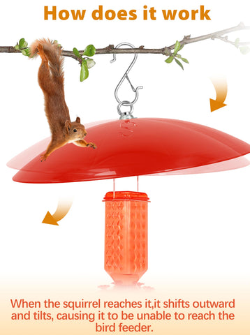 Andergi squirrel baffle for bird feeders reduces seed theft while keeping feeders tidy.