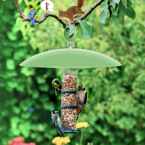 The andergi squirrel-deterrent umbrella helps keep birdseed available.