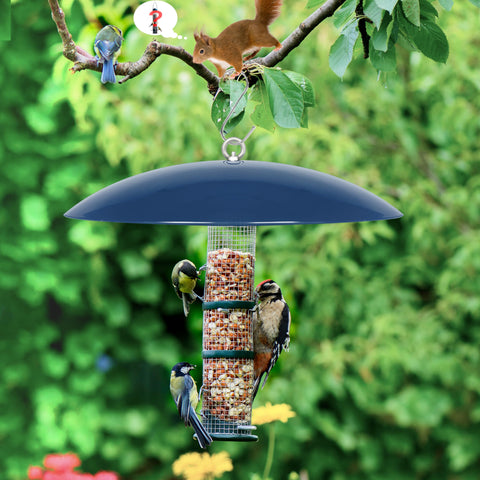 andergi Two-pack supports two feeders or seasonal swapping.