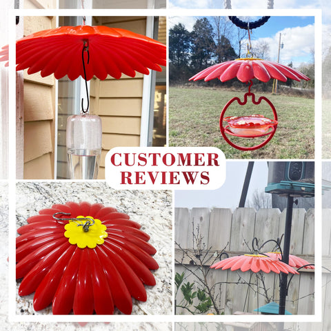 andergi umbrella cover for bird house outdoor keeps feeders dry