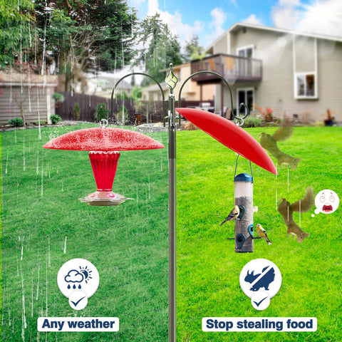 Andergi weather-resistant feeder protection helps birds feed in all seasons