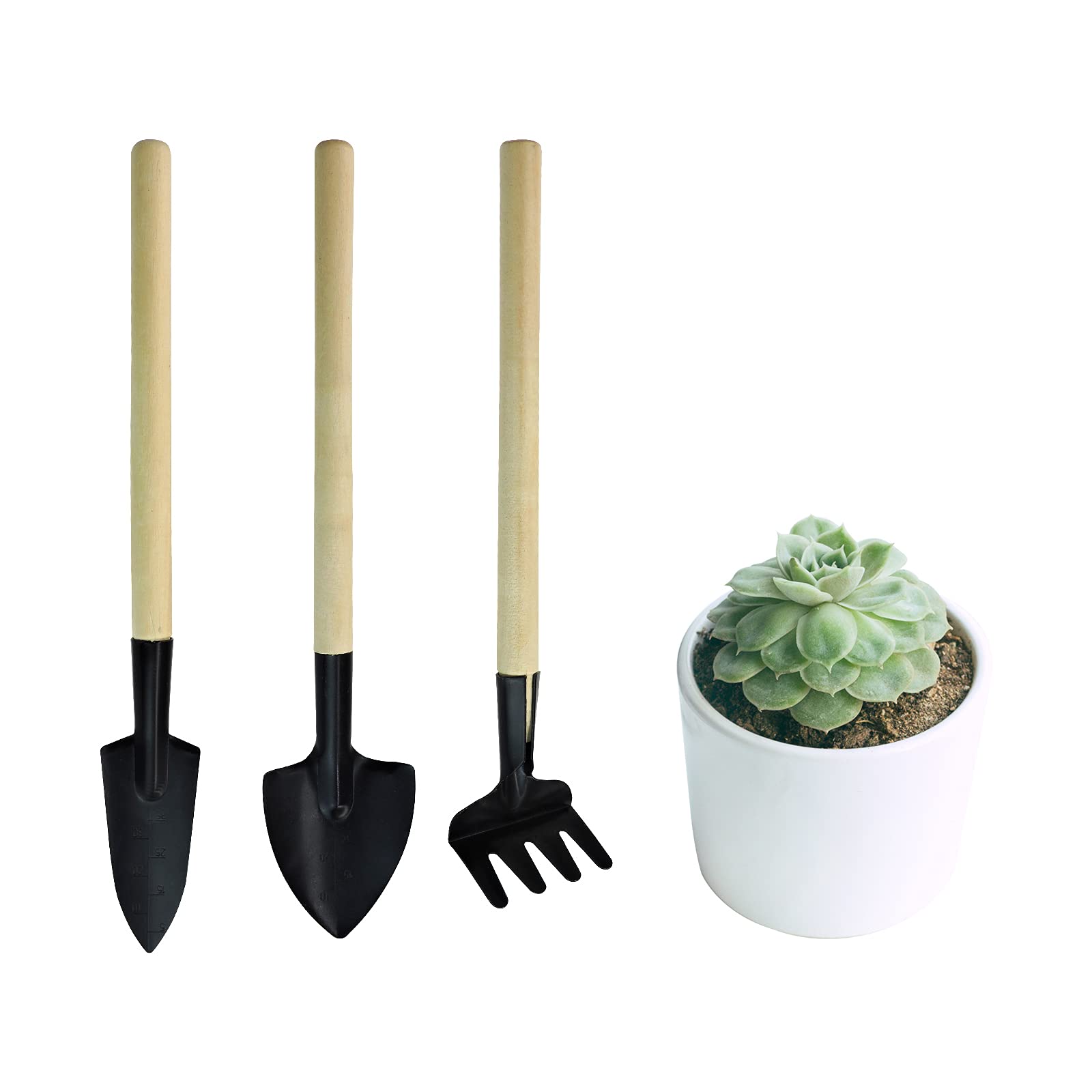 Andiker mini garden rake for precise soil loosening in tiny pots