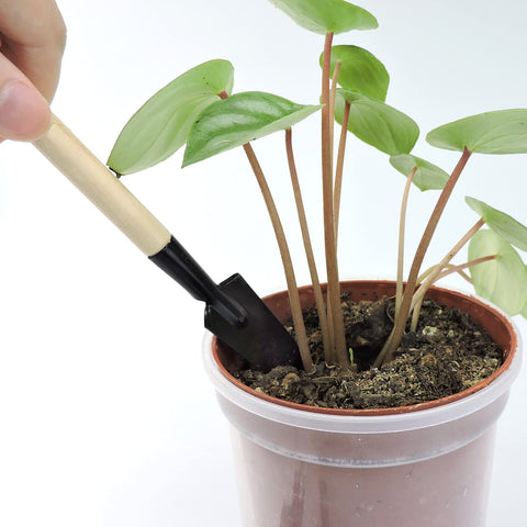 Andiker mini garden tools set laid out flat for desk-side projects