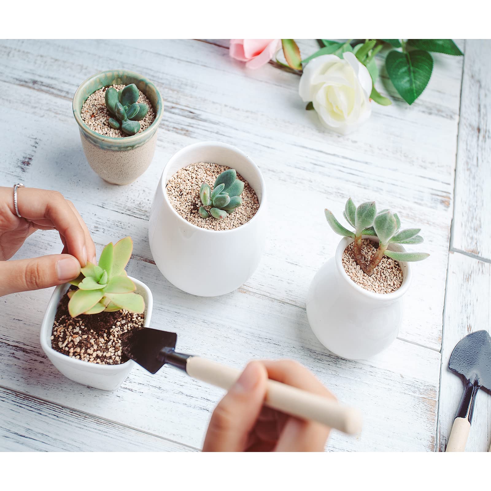 Andiker mini shovel ideal for scooping soil and roots in small planters