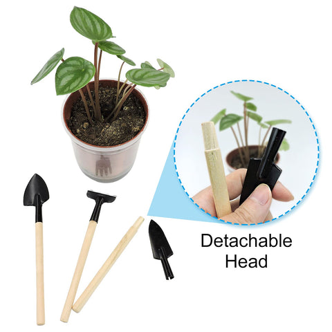 Andiker mini trowel for gentle transplanting and digging
