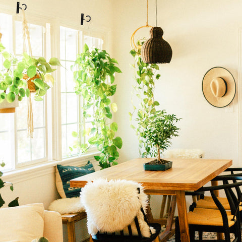 AnDock helps keep planters, lanterns, and feeders neatly organized.