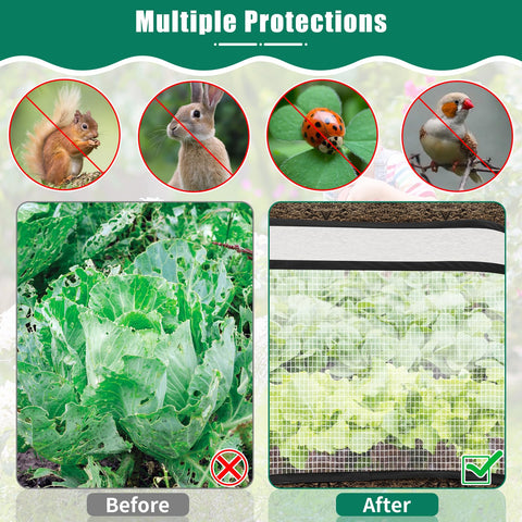 ANGAR 2-Pack protects plants from pests and birds while monitoring growth