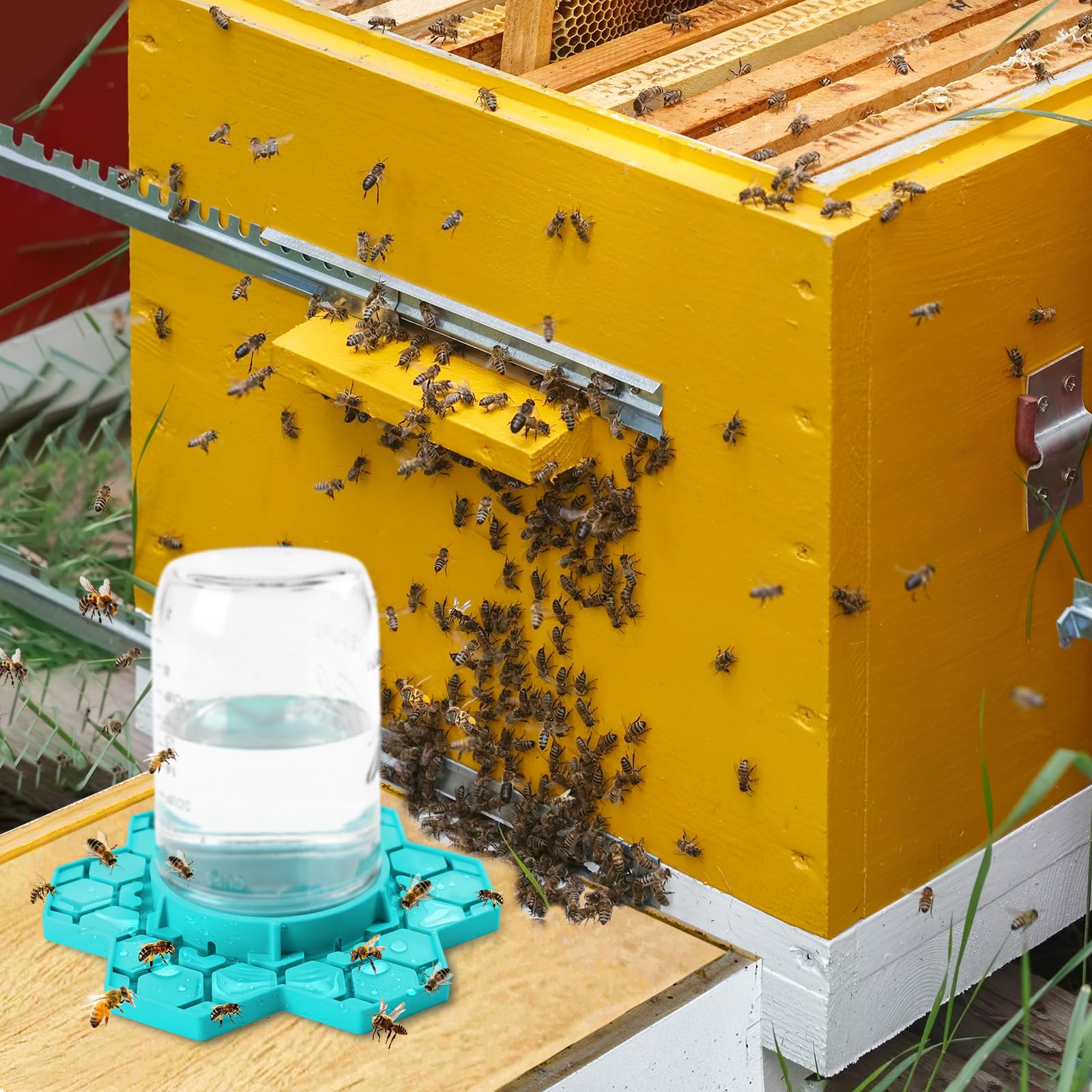 ANGAR bee feeder shows smooth surface for easy post-use cleaning.