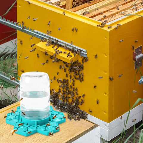 ANGAR bee feeder shows smooth surface for easy post-use cleaning.