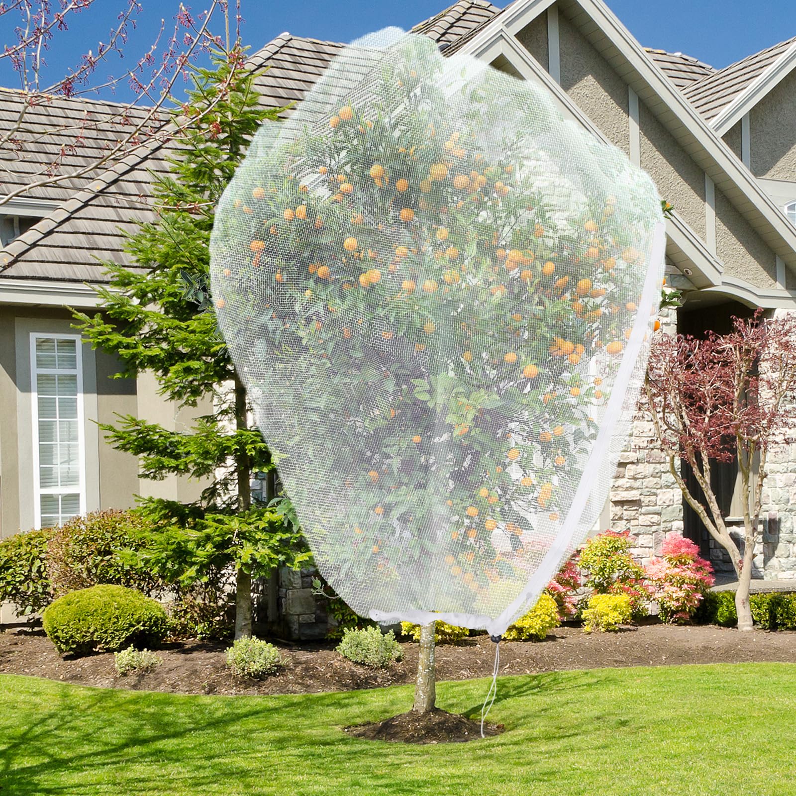 ANGAR fruit tree netting 10x10ft setup protects fruit trees from birds and insects