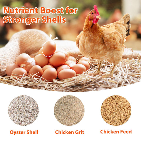 ANGAR oyster shell feeder compatible with grit and corn