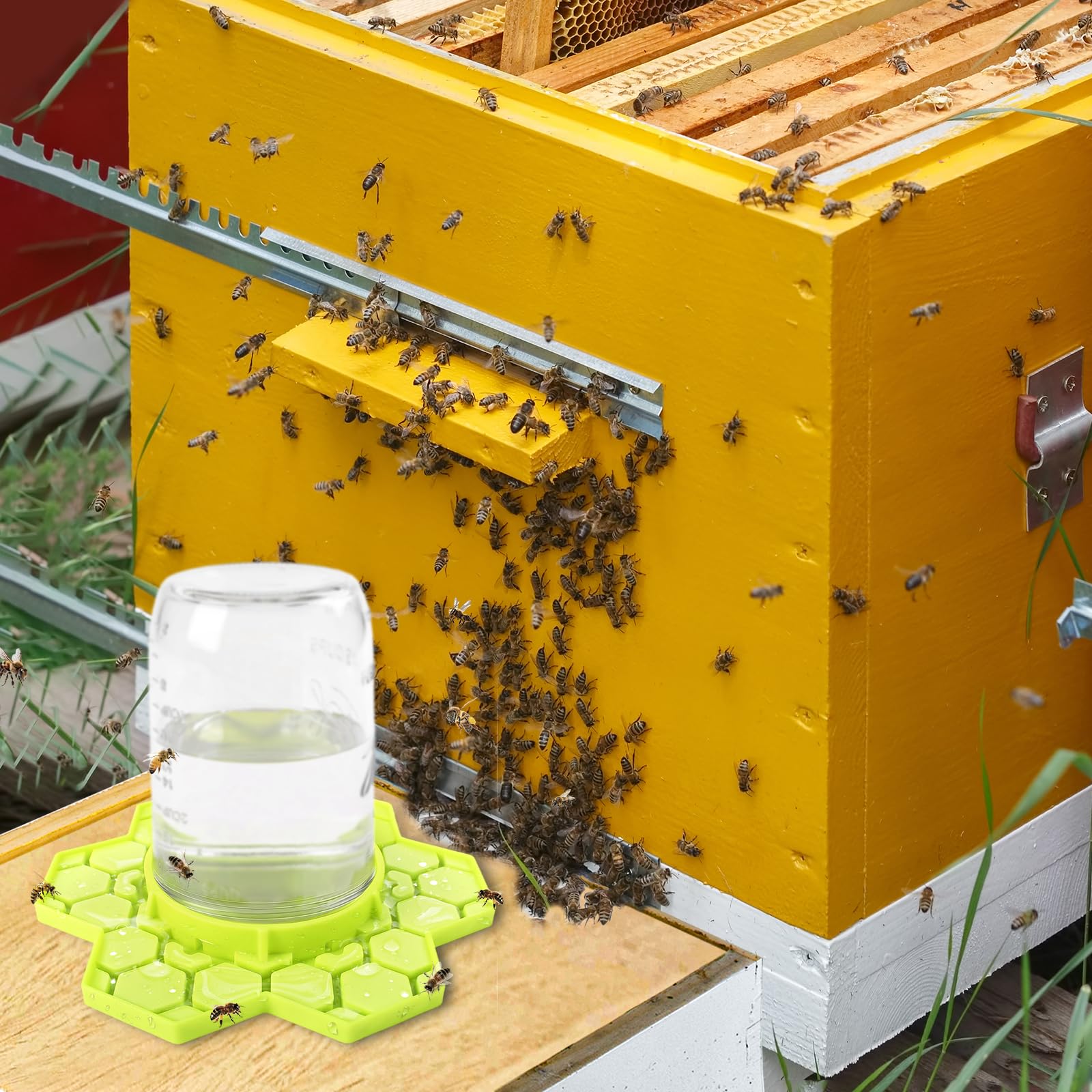 ANGAR two-pack bee feeders provide convenient outdoor hive watering solution