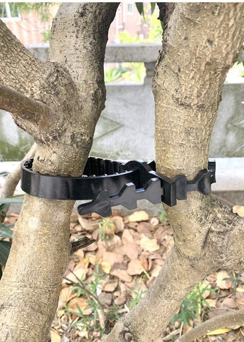 ANGIEHAIE easy-application wrap-and-lock design speeds tree training setup.