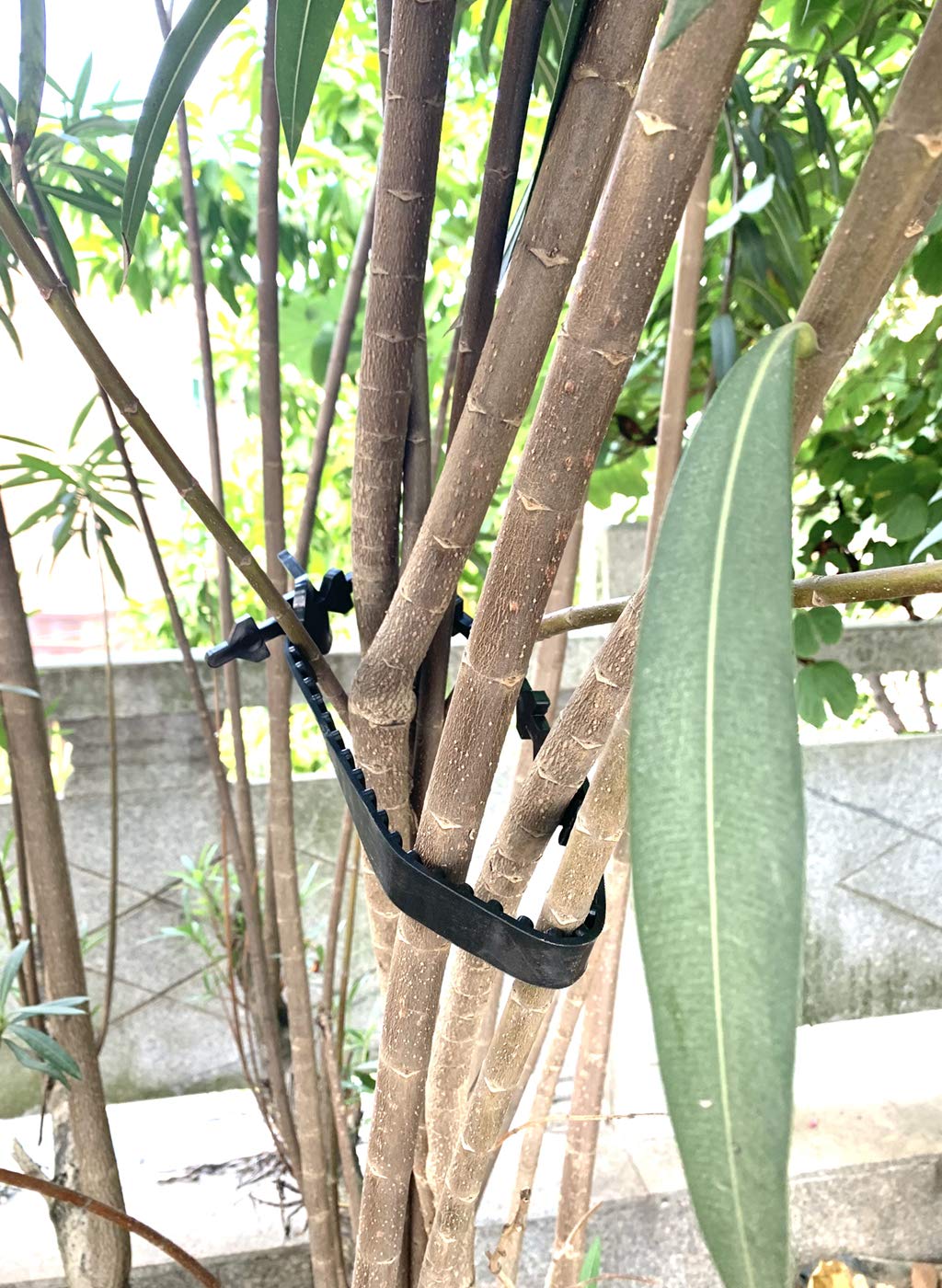 ANGIEHAIE PP plastic tree ties are heat and UV resistant for long-lasting use.