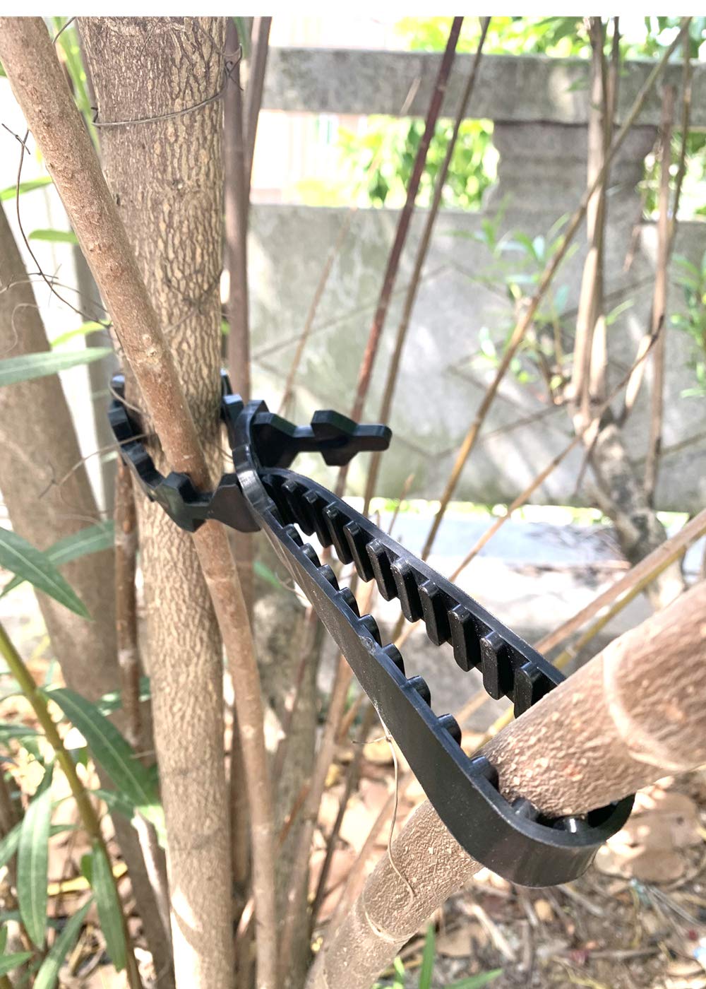 ANGIEHAIE tree training system flexible straps guide branches safely without harming plants.