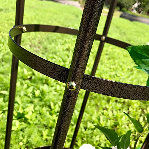 AngJi floral trellis tower adds height and focal point to patios.