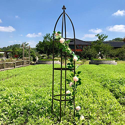 AngJi iron trellis 74in supports tall vines and dramatic outdoor displays.