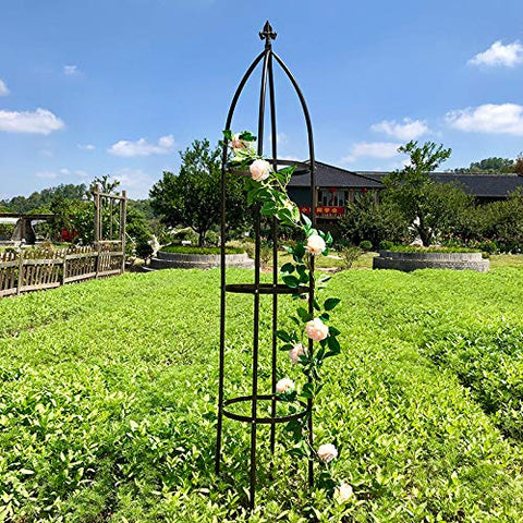 AngJi iron trellis 74in supports tall vines and dramatic outdoor displays.