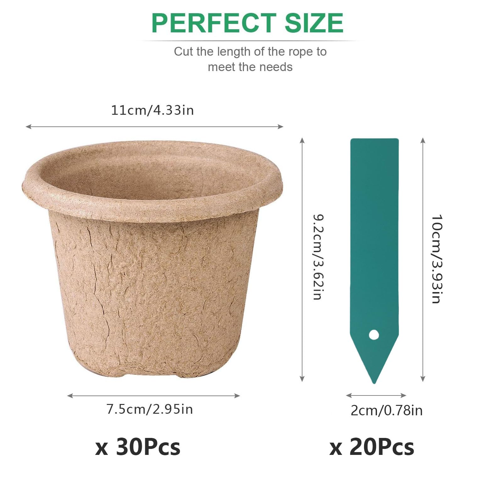 ANGTUO biodegradable pots simplify transplanting with minimal root disturbance.