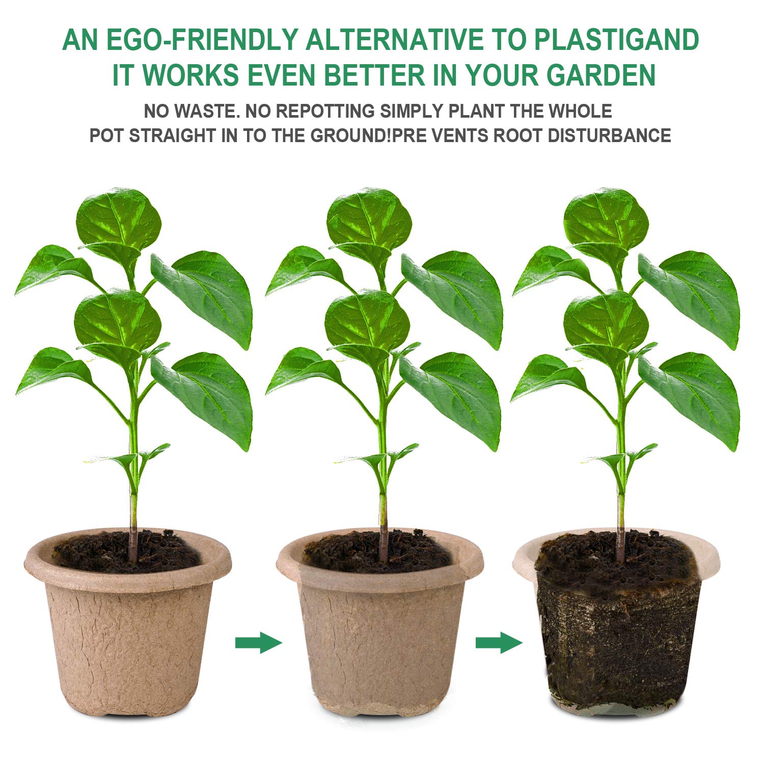 ANGTUO 30-pack seed pots ready for easy starting indoors.
