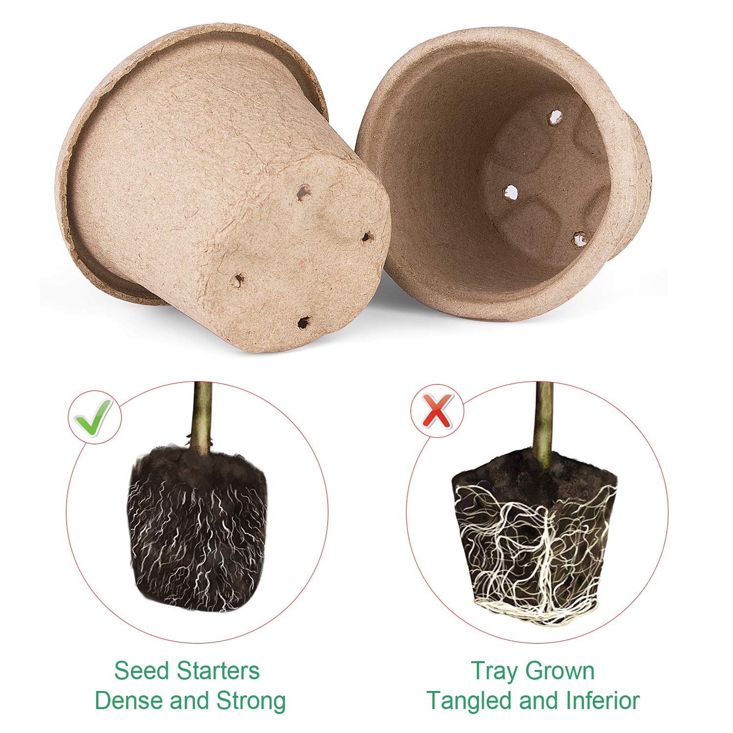 ANGTUO seed labels included help organize pots and track progress.