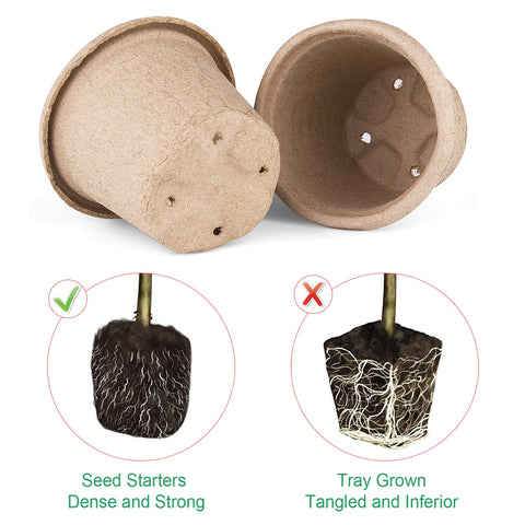 ANGTUO seed labels included help organize pots and track progress.
