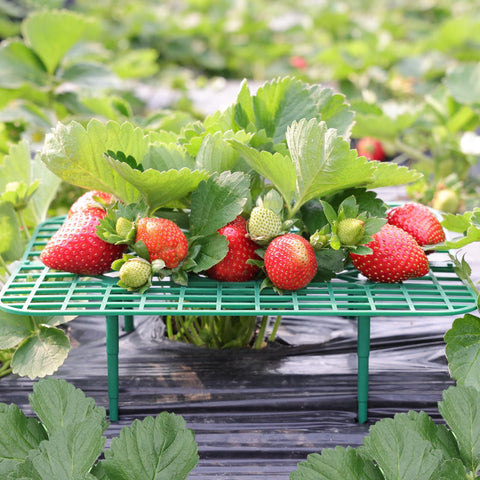 ANGTUO square strawberry stand ready for garden use with stable, elevated plant support.