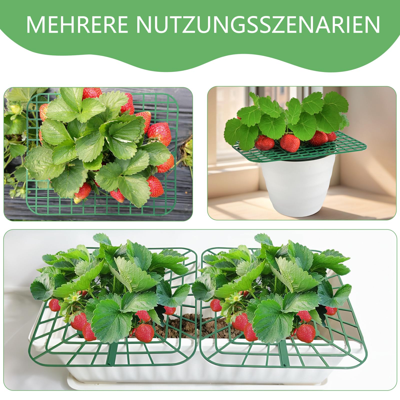 ANGTUO square strawberry stand installed in a garden bed boosts organization.