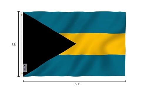 Flag displayed on a pole for easy outdoor setup.