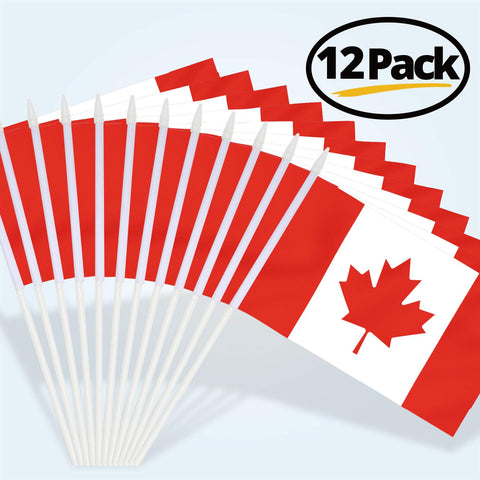 Anley Canada mini flag being waved at a celebration.