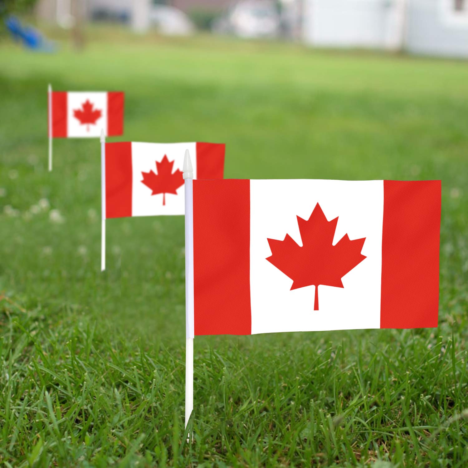 Anley Canada mini flag with spear-top pole in bright sunlight.